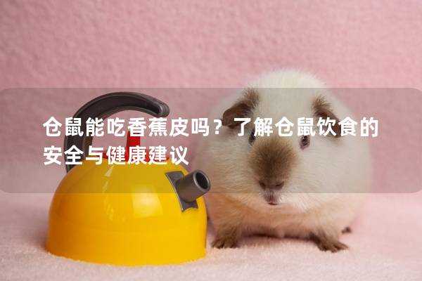 仓鼠能吃香蕉皮吗？了解仓鼠饮食的安全与健康建议