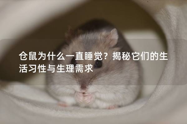 仓鼠为什么一直睡觉？揭秘它们的生活习性与生理需求