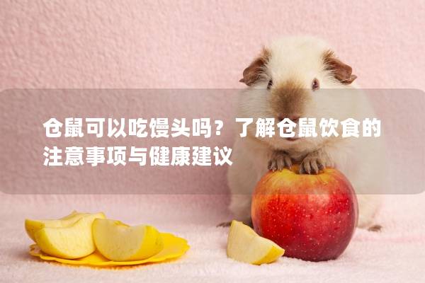 仓鼠可以吃馒头吗？了解仓鼠饮食的注意事项与健康建议