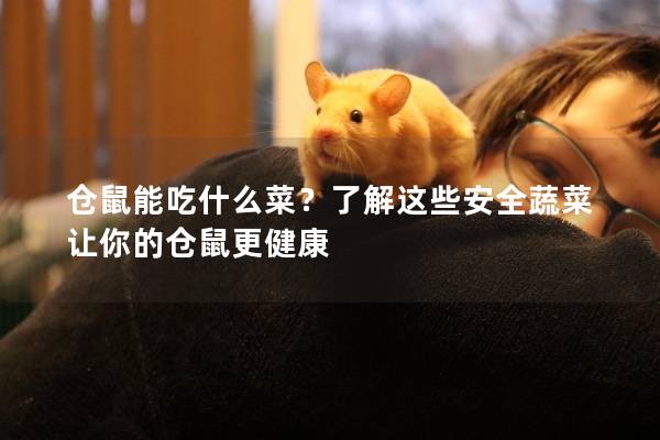 仓鼠能吃什么菜？了解这些安全蔬菜让你的仓鼠更健康