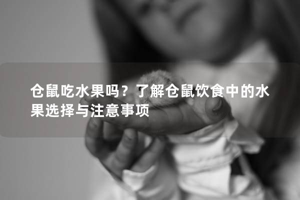 仓鼠吃水果吗？了解仓鼠饮食中的水果选择与注意事项