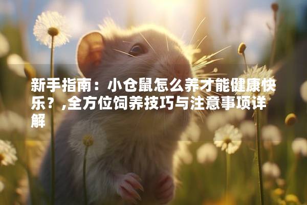 新手指南：小仓鼠怎么养才能健康快乐？,全方位饲养技巧与注意事项详解