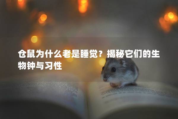 仓鼠为什么老是睡觉？揭秘它们的生物钟与习性