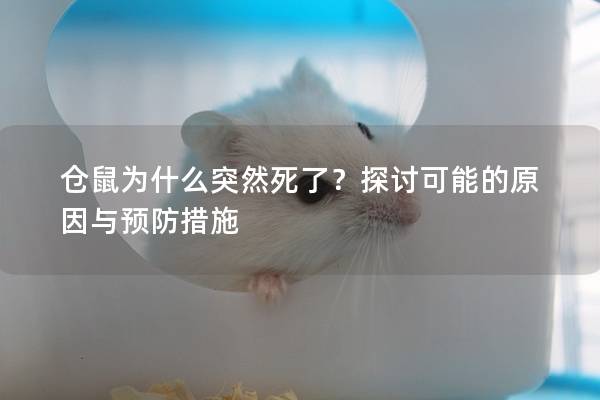 仓鼠为什么突然死了？探讨可能的原因与预防措施