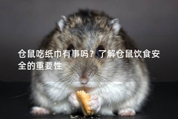 仓鼠吃纸巾有事吗？了解仓鼠饮食安全的重要性