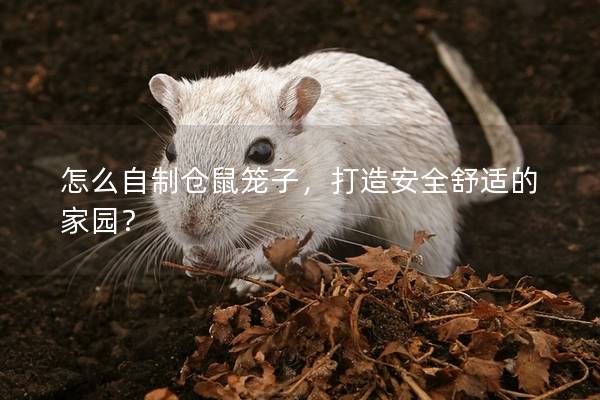怎么自制仓鼠笼子，打造安全舒适的家园？