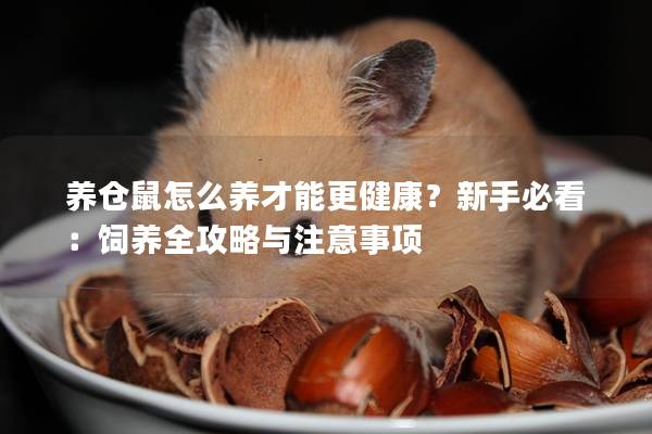 养仓鼠怎么养才能更健康？新手必看：饲养全攻略与注意事项