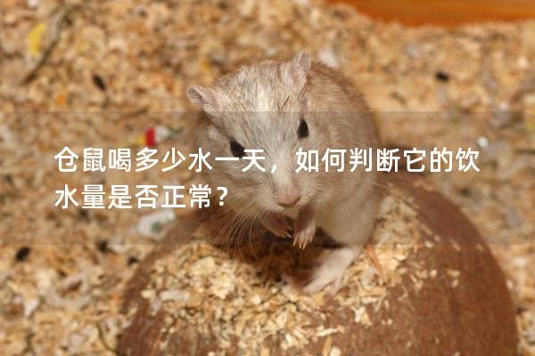 仓鼠喝多少水一天，如何判断它的饮水量是否正常？
