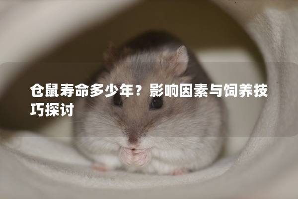 仓鼠寿命多少年？影响因素与饲养技巧探讨
