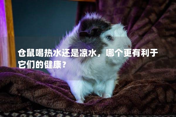 仓鼠喝热水还是凉水，哪个更有利于它们的健康？