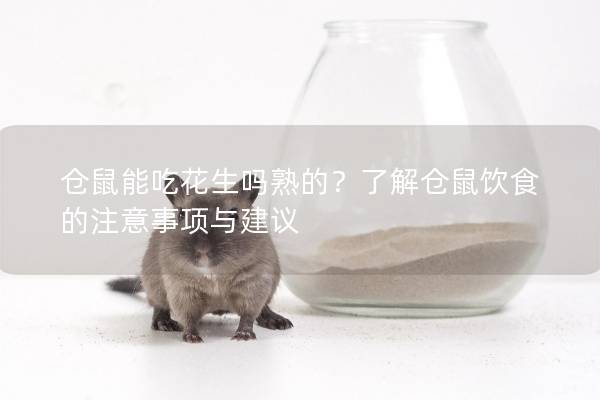仓鼠能吃花生吗熟的？了解仓鼠饮食的注意事项与建议